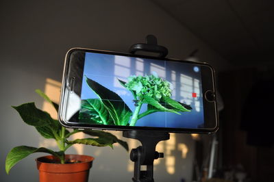 Close-up of mobile phone on potted plant