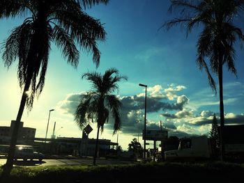 Silhouette palm trees against sky during sunset