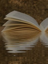 Close-up of books on table