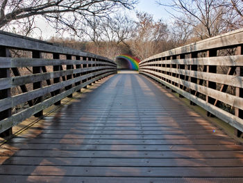 Narrow footbridge along bare trees