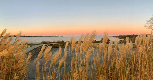 Scenic view of sea against sky during sunset at newport rhode island 