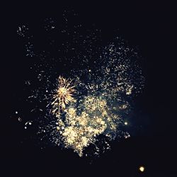 Low angle view of firework display at night