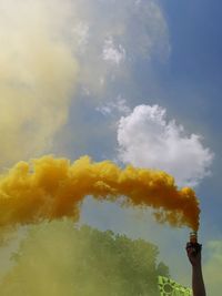 Person holding yellow flowers against sky