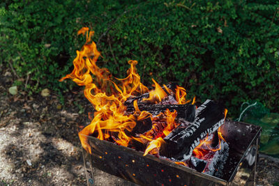 Logs burning in the brazier