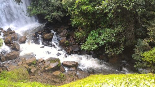 Water splashing on rocks against trees