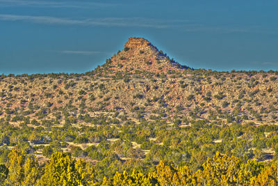 Scenic view of flowering plants on field against sky