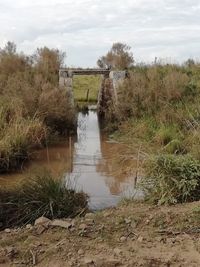 Scenic view of land against sky