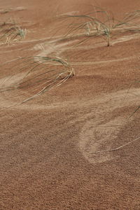 High angle view of field