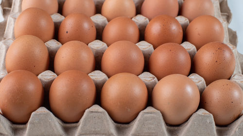 Close-up of eggs in carton