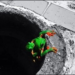 Close up of multi colored wall