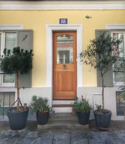 Potted plants in balcony