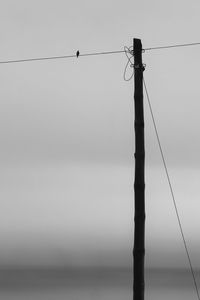 Low angle view of silhouette birds perching on cable against sky