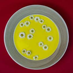 The spring soup with daisies on the plate