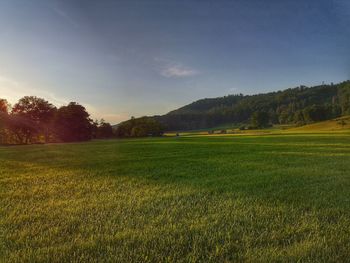 Scenic view of field against sky