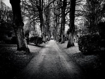 Road passing through forest