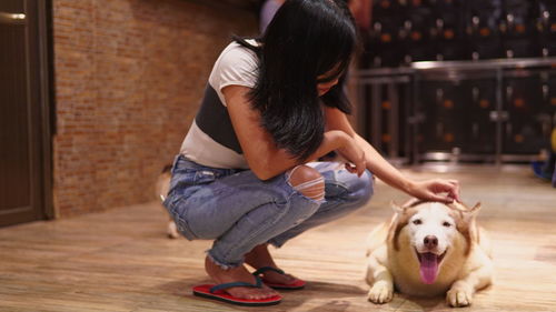 Rear view of woman with dog