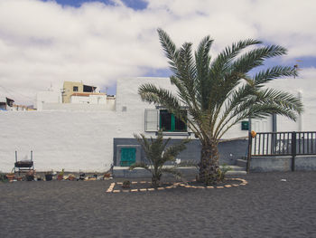 Palm trees by swimming pool against sky