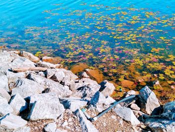 High angle view of rocks by lake