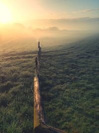 Scenic view of field in foggy weather