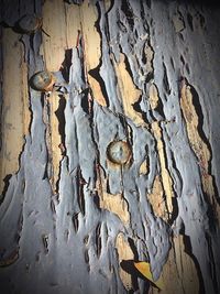 Close-up of clothes hanging against sky