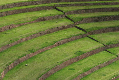 Scenic view of terraced field at urubamba valley