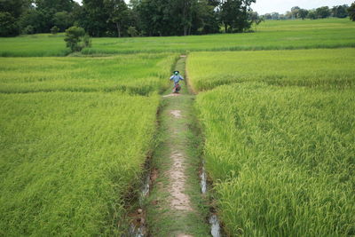 Rear view of man walking on field