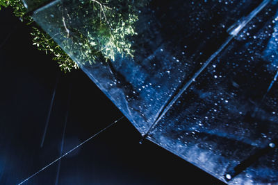 Low angle view of wet plants in rainy season