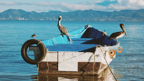 Birds perching on boat in sea against mountains