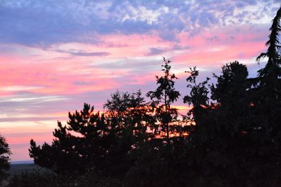 Silhouette trees against sky during sunset