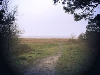 Scenic view of landscape against clear sky