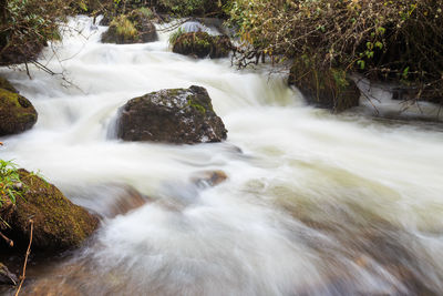 View of waterfall in forest