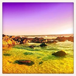 Scenic view of landscape against clear blue sky