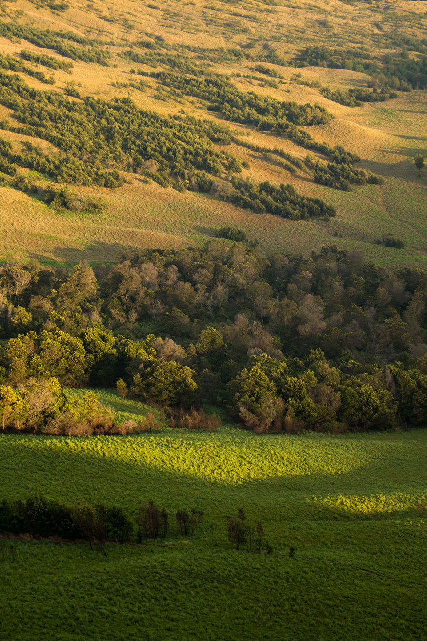 SCENIC VIEW OF FARM FIELD