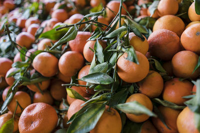 Close-up of fruits for sale at market stall