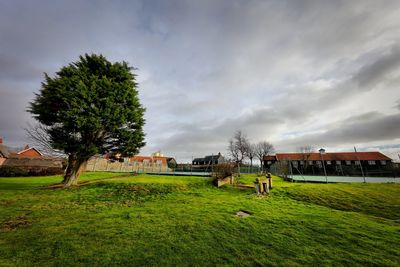 Trees on field against sky