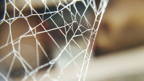 Close-up of chainlink fence