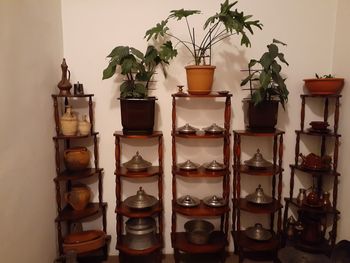 Close-up of potted plants on shelf against wall