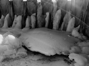 Close-up of crab on snow