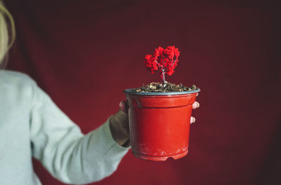 Midsection of woman holding potted plant against red background