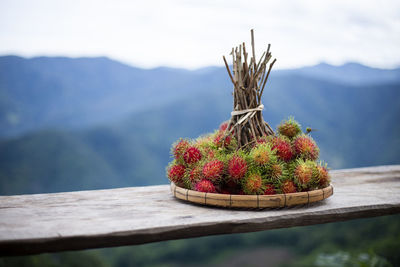 A large bunch of red rambutan in a bamboo tray is placed on a wooden table. looks delicious 