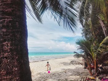 Palm trees on beach against sky