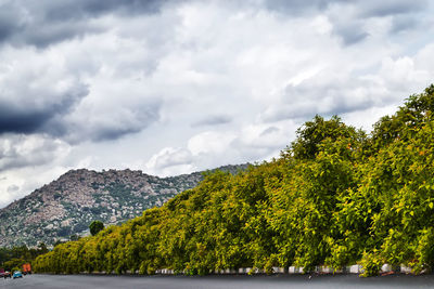 nature