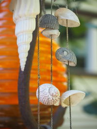 Close-up of decoration hanging outdoors