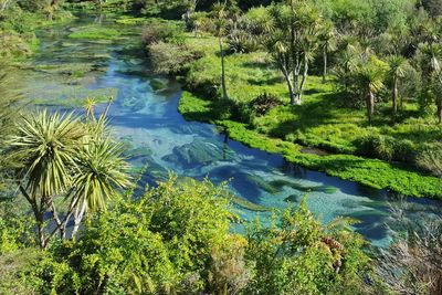 High angle view of stream amidst field