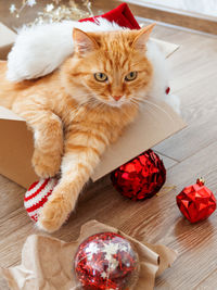 Ginger cat in box with christmas and new year decorations. fluffy pet with red santa claus hat. 