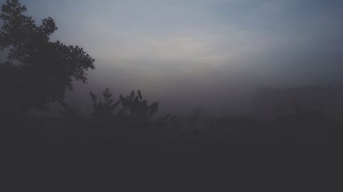 Trees on landscape against cloudy sky