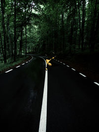 Man performing stunt on road in forest