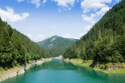 Scenic view of lake by trees against sky