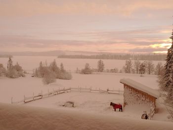 Scenic view of snow covered field against sky during sunset