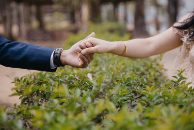 Cropped image of couple holding hands by plants